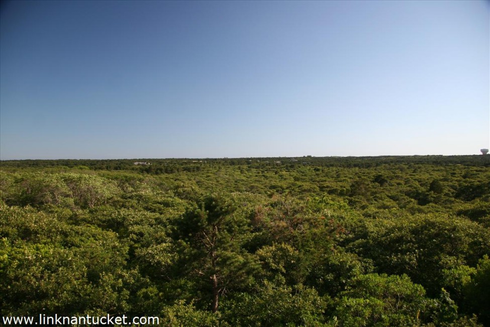 25 North Pasture Lane Nantucket Image