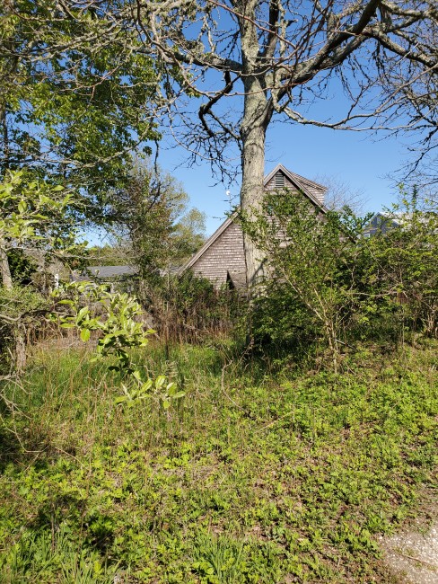 8 Winn Street Nantucket Image