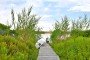 11 Columbus Avenue Nantucket Thumb 
