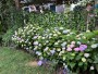 15 Point Judith Lane Nantucket Thumb 