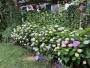 15 Point Judith Lane Nantucket Thumb 
