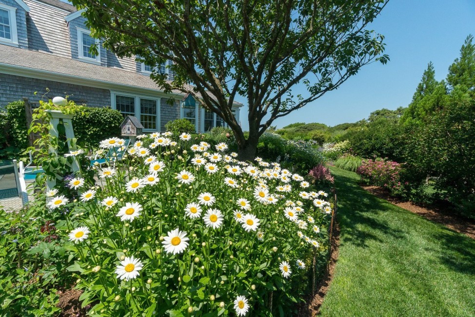  8 Monomoy Road Image 53
                                    