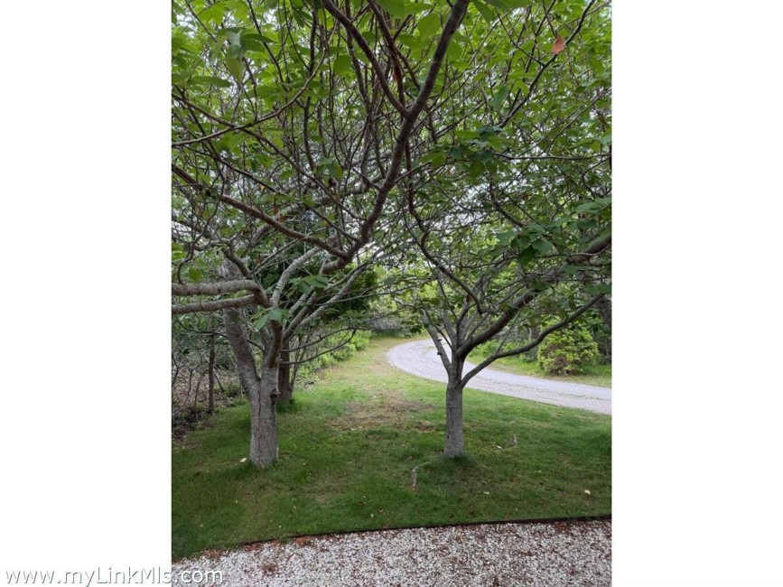  49 Tom Nevers Road Image 4
                                    