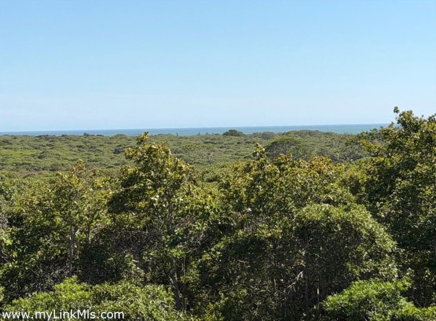  49 Tom Nevers Road Image 2
                                    