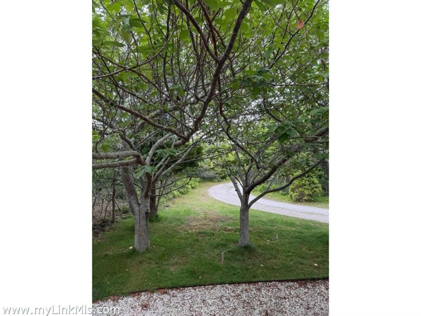  49 Tom Nevers Road Image 5
                                    