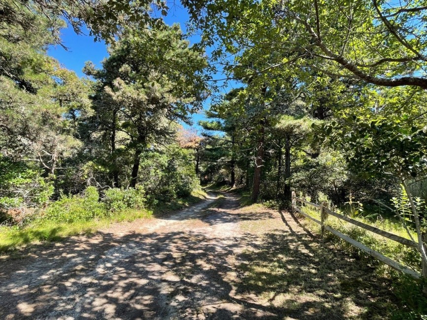  65 Milestone Road Image 25
                                    